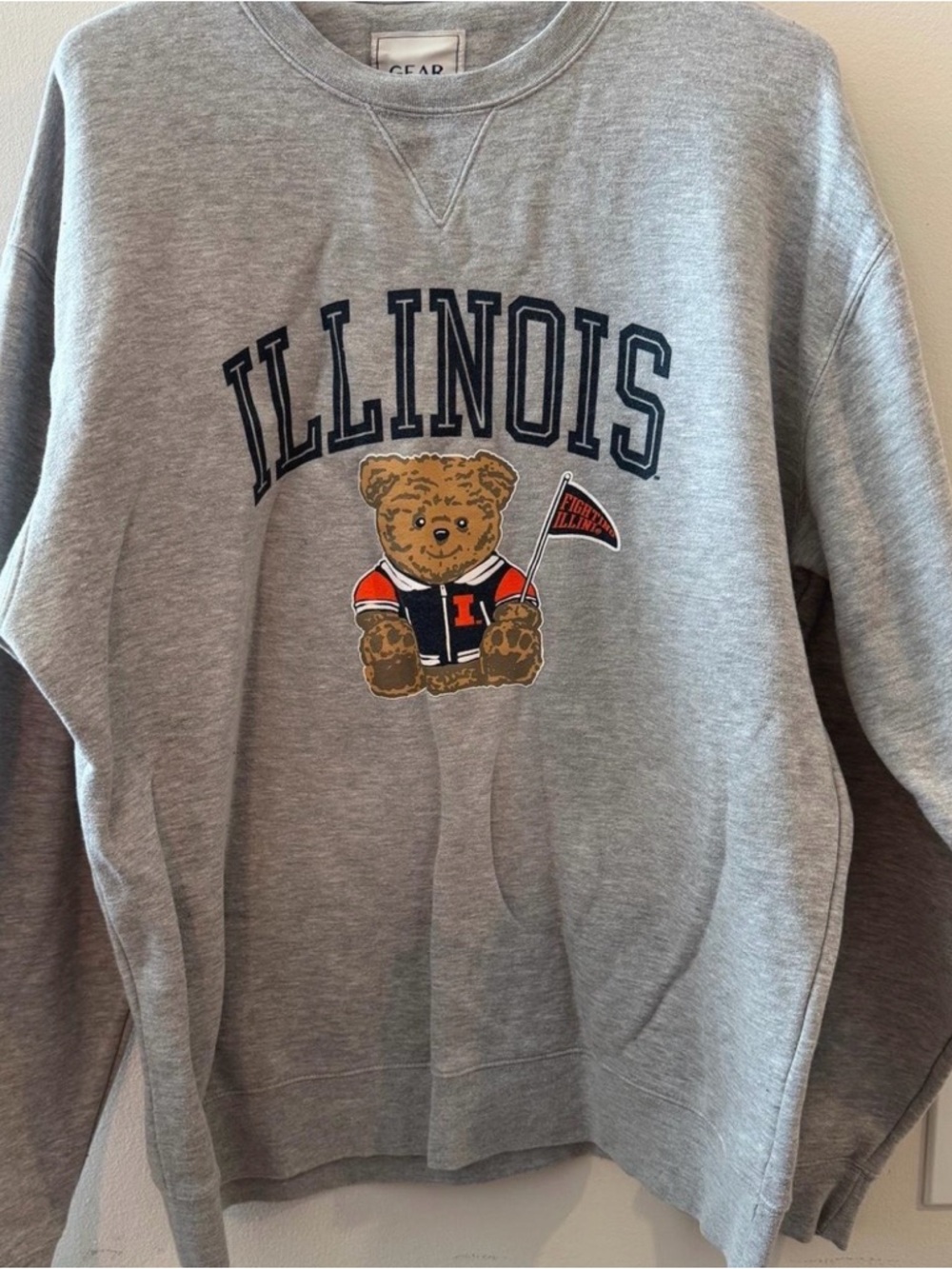 University of Illinois Teddy Graphic Sweatshirt - Grey